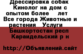 Дрессировка собак (Кинолог на дом с опытом более 10 лет) - Все города Животные и растения » Услуги   . Башкортостан респ.,Караидельский р-н